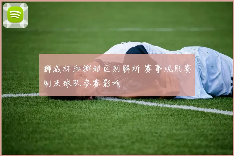 挪威杯和挪超区别解析 赛事规则赛制及球队参赛影响