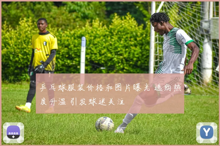 乒乓球服装价格和图片曝光 选购热度升温 引发球迷关注